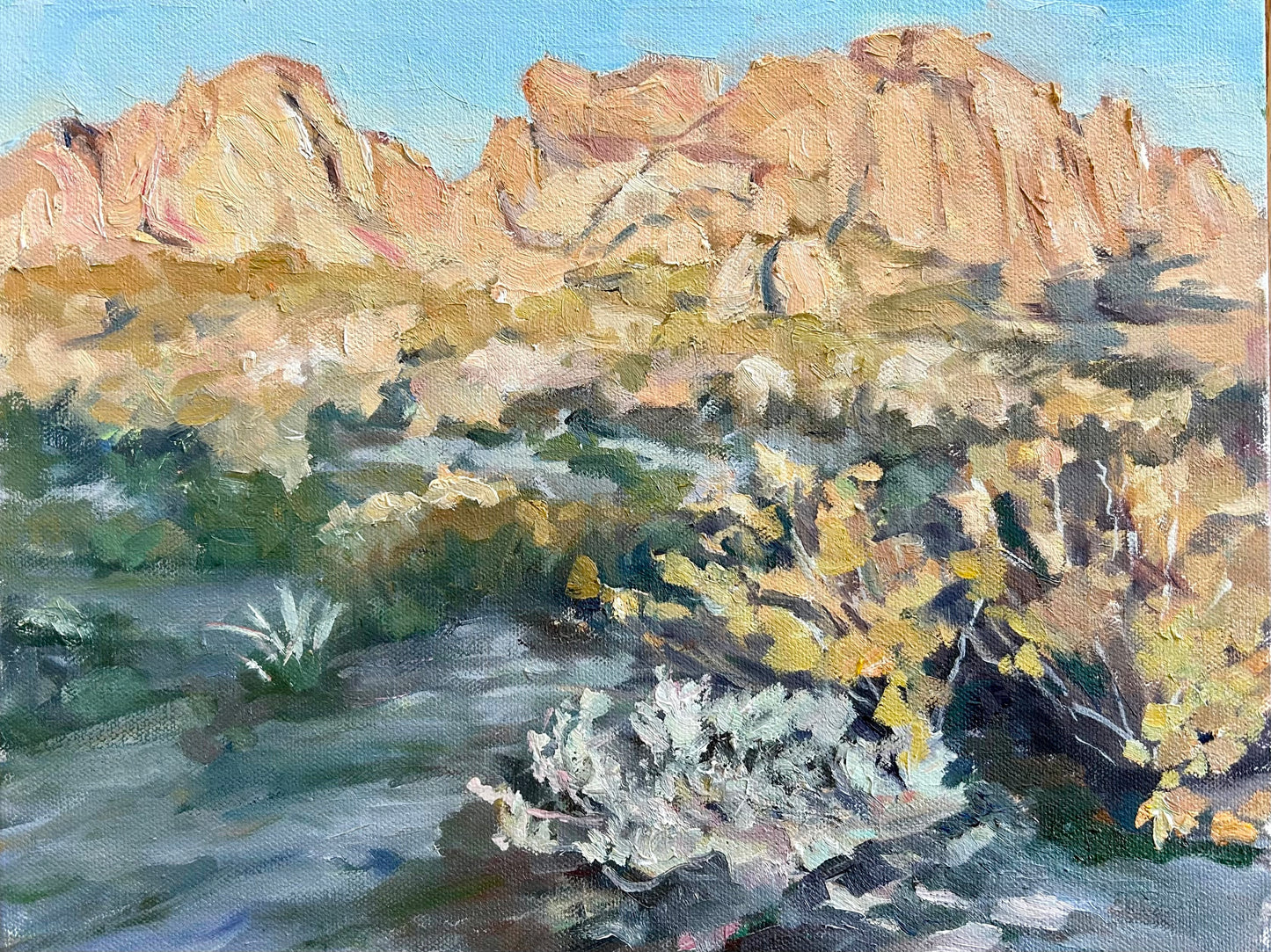 High Desert Shadows 11" x 14"