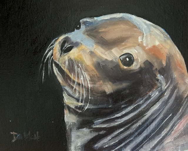 Sea Lion Smile