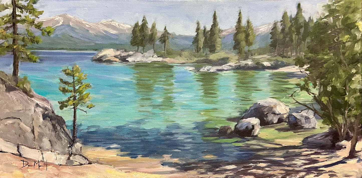 Sierra Cove 12" x 24"