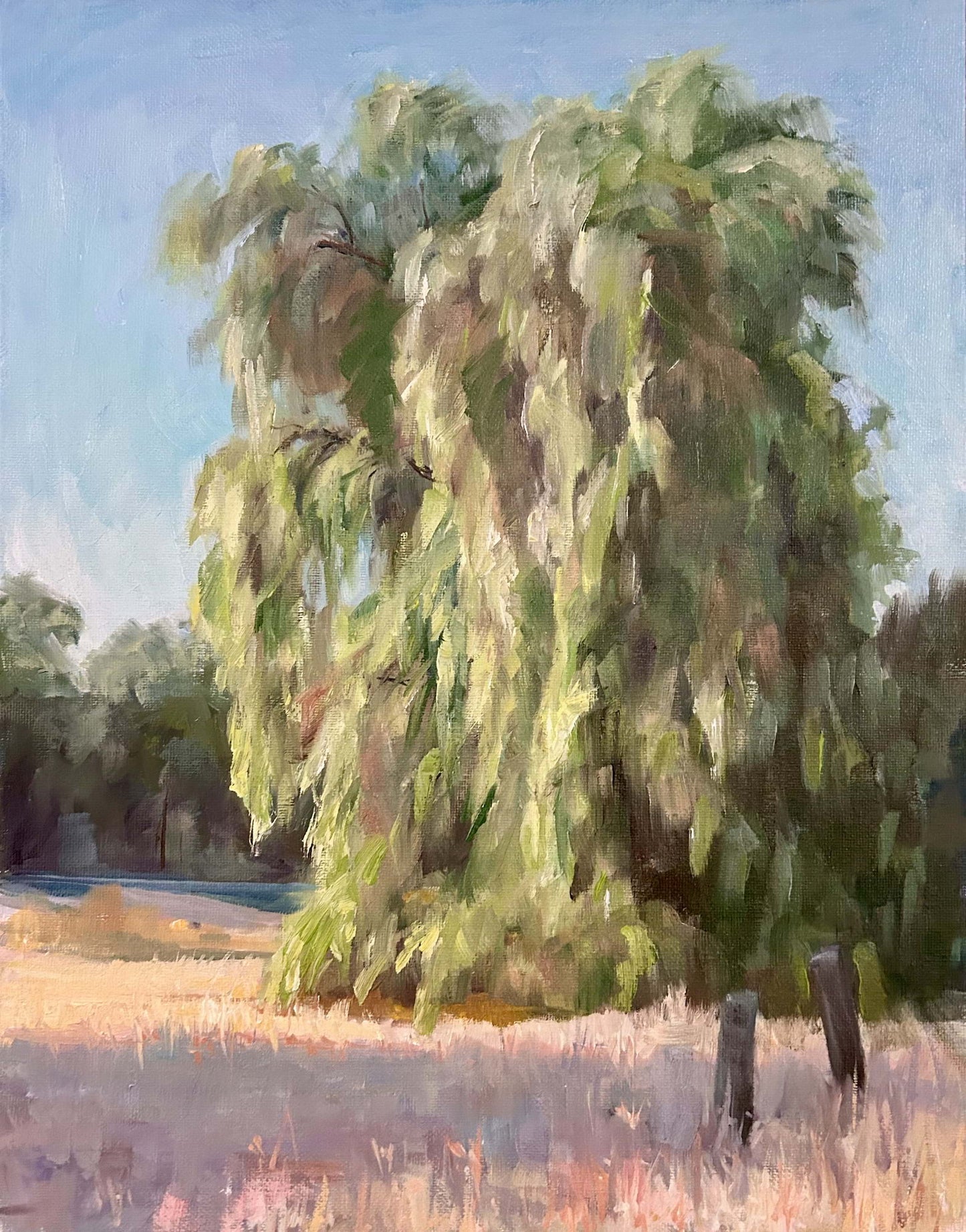 Pepper Tree 11" x 14"