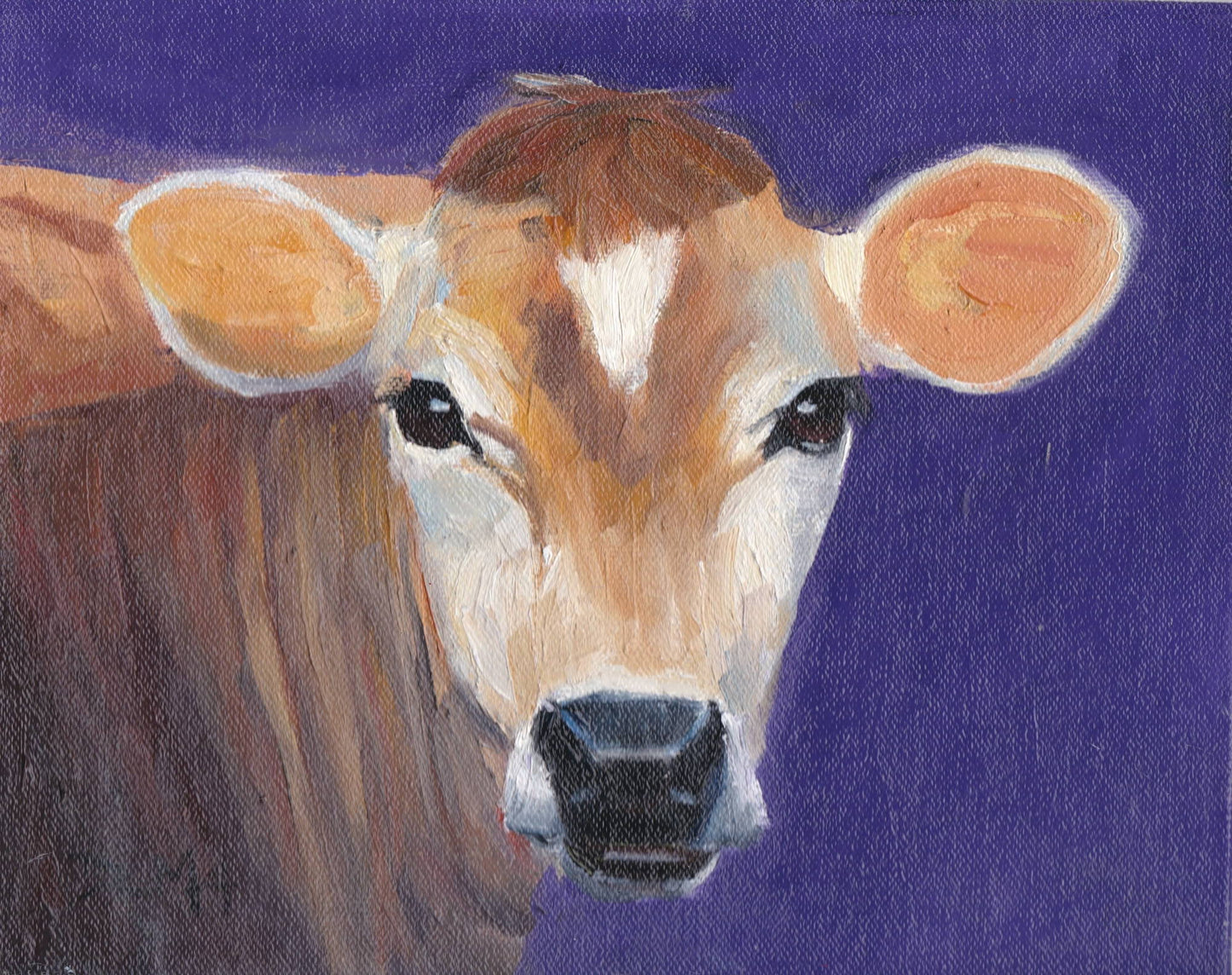 Purple Cow