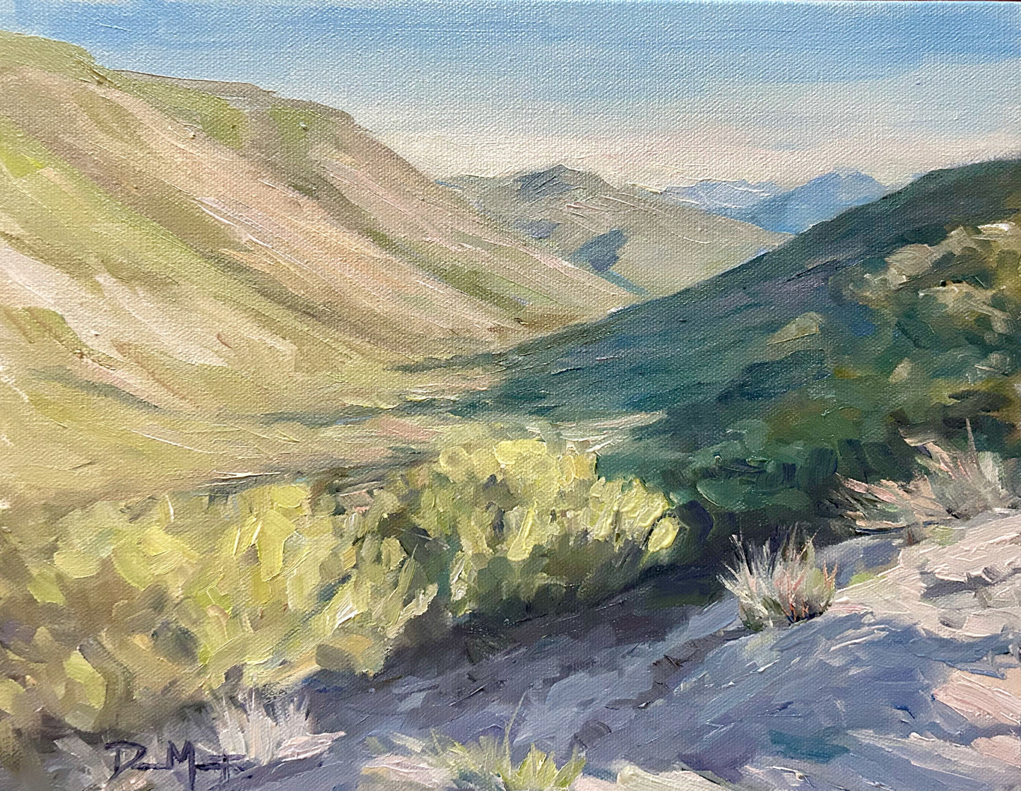 Foothill Shadows 11" x 14"