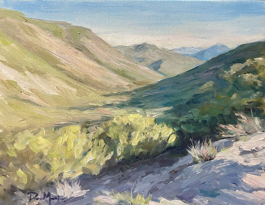 Foothill Shadows 11" x 14"