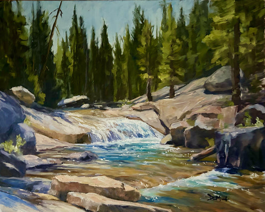 Tuolumne Afternoon 16" x 20"