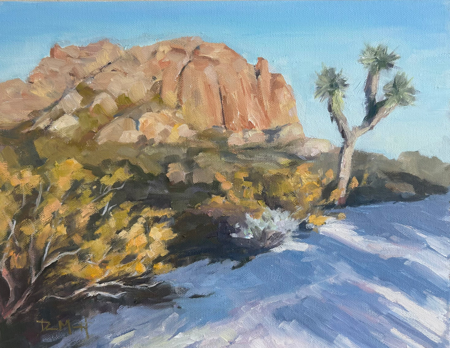 Joshua Tree Shadows 11" x 14"