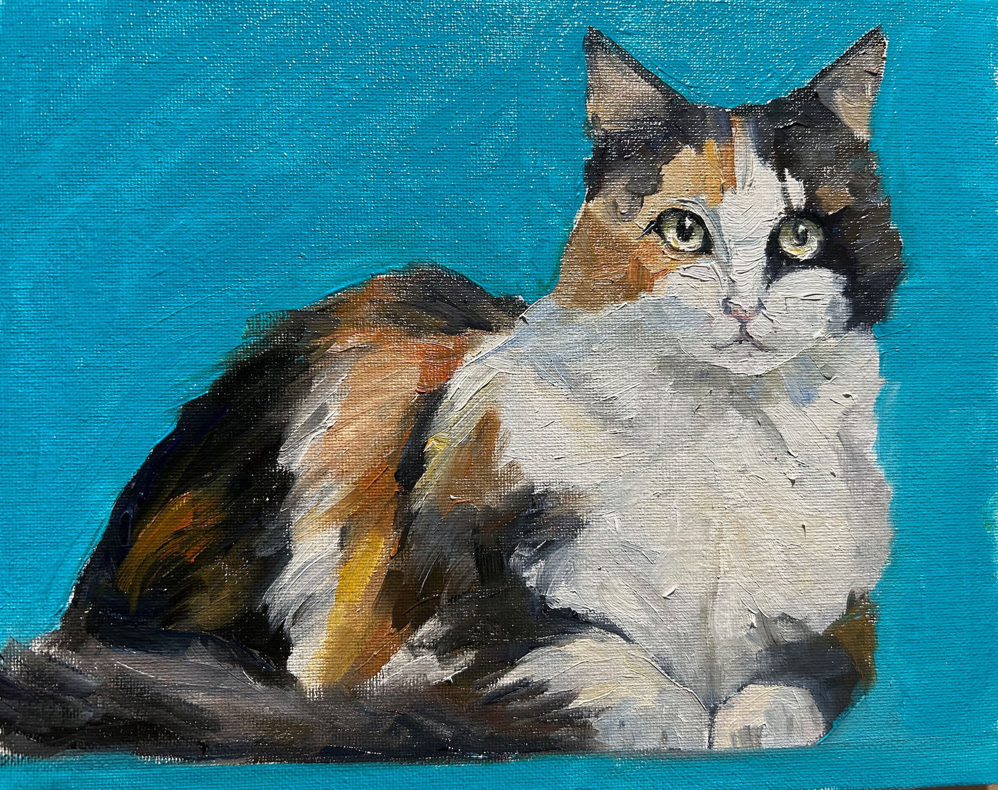 Calico