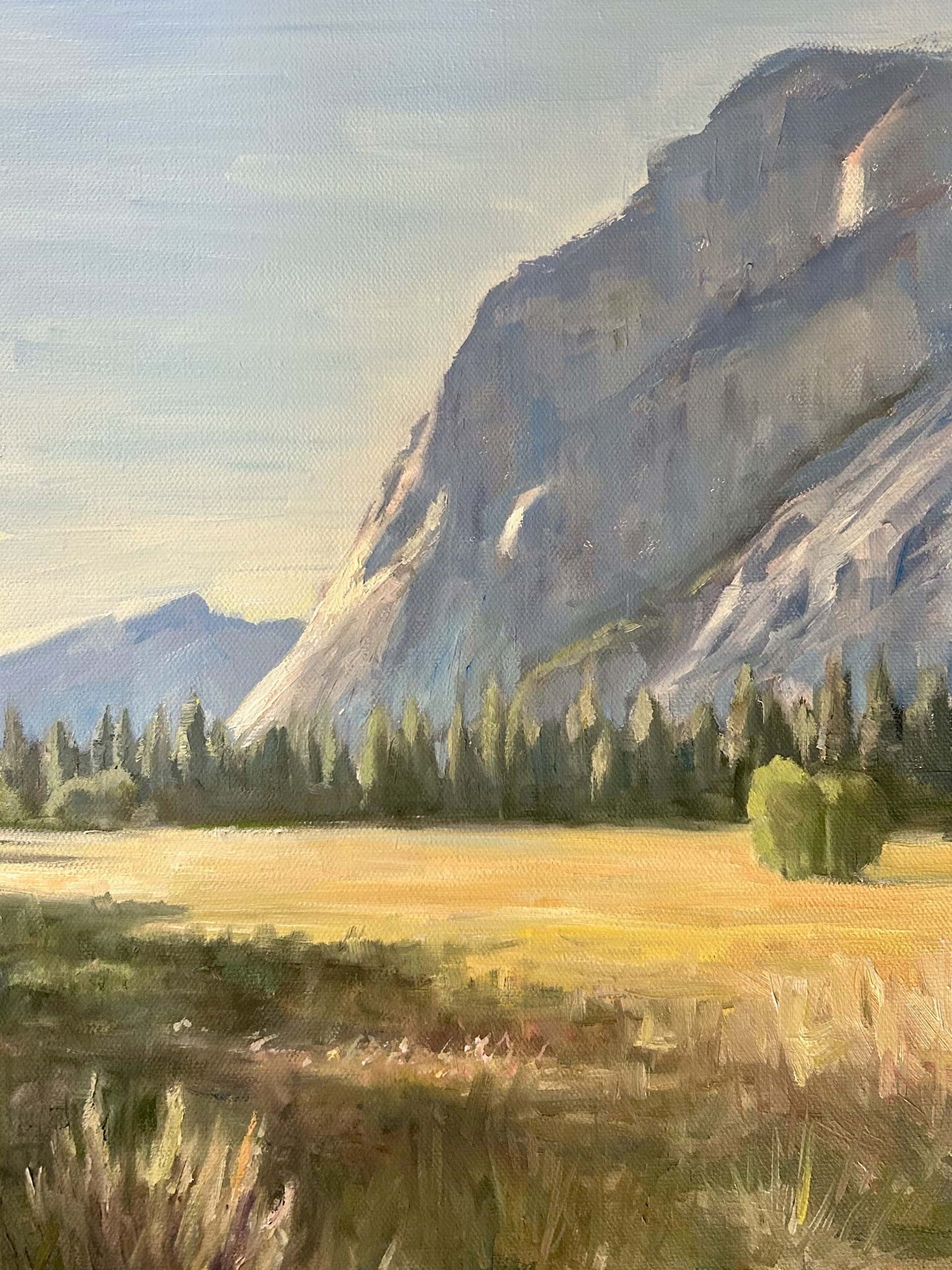 Meadow Morning 11 x 14