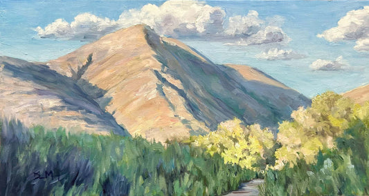 Mission Trails Afternoon 12 x 24