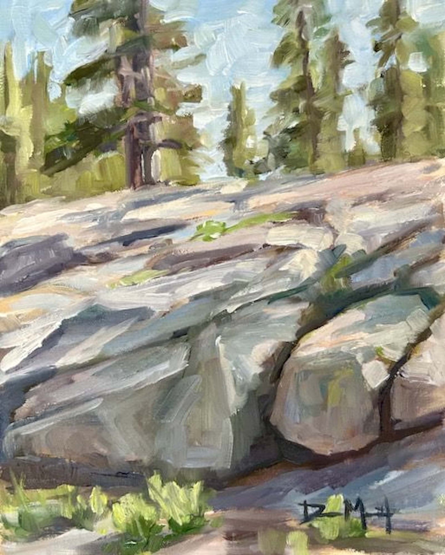 Sierra Granite 8" x 10"